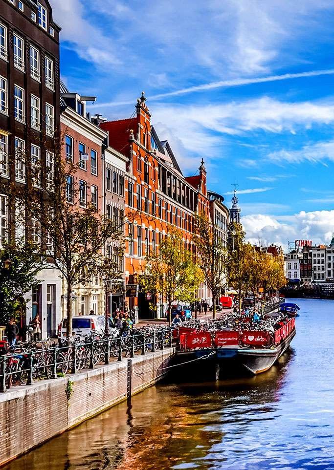 Study in Netherlands